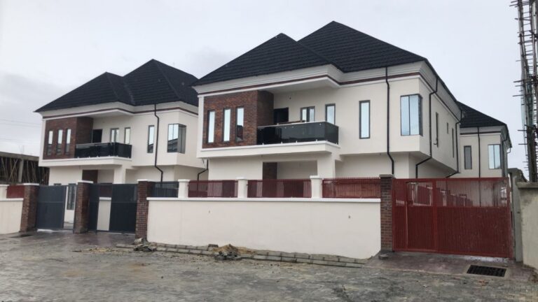 WhatsApp Image 2024-08-27 at 3.41